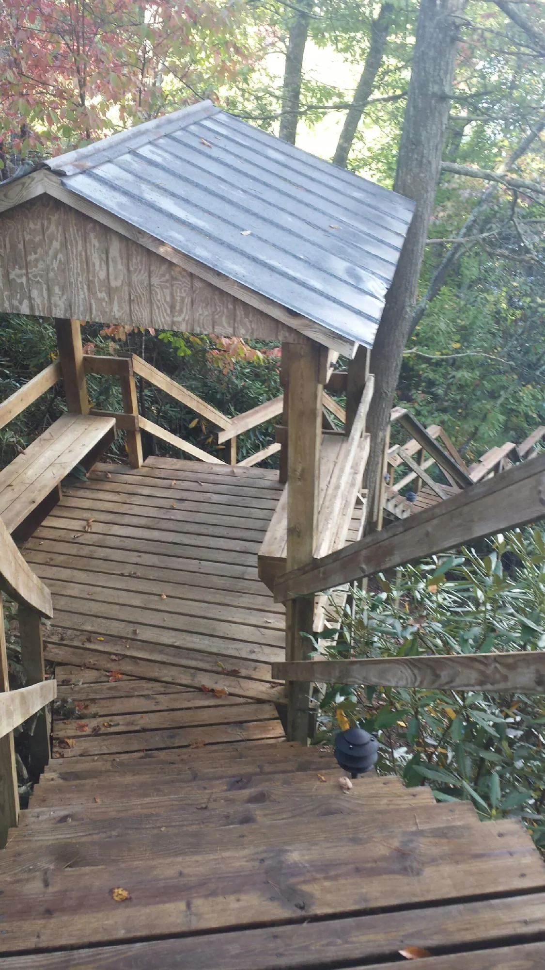 Metal roofed shelter over wooden steps on a wooded walkway — Skylight Repair & Installation work by our crew in Canyon Lake